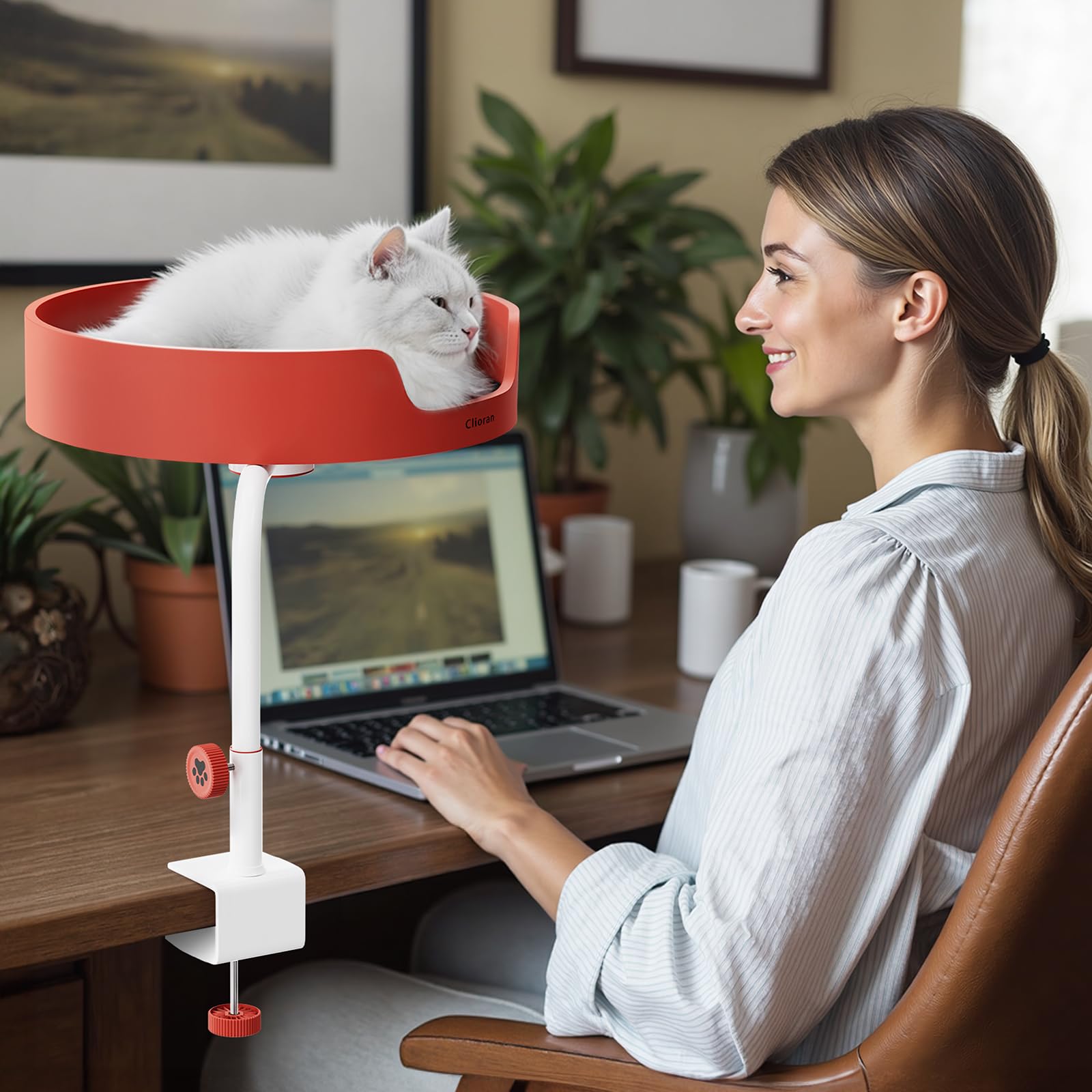 Clioran Cat Desk Bed Large Perch Nest With Teaser Easy Install,Space Saving Mount Design,Sturdy Frame,Removable Cushion,Clamp De